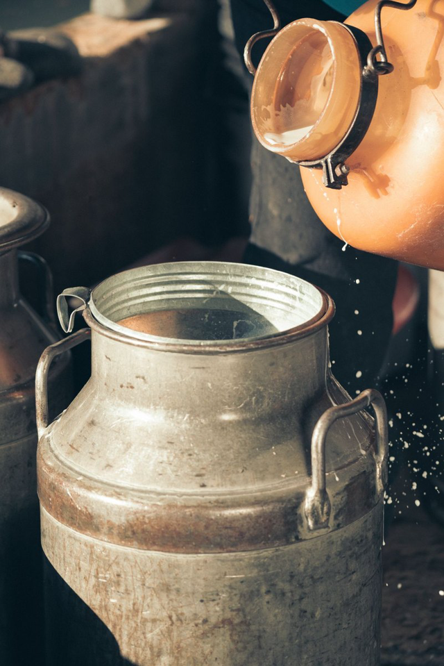 Fresh Farm Milk (bulk)